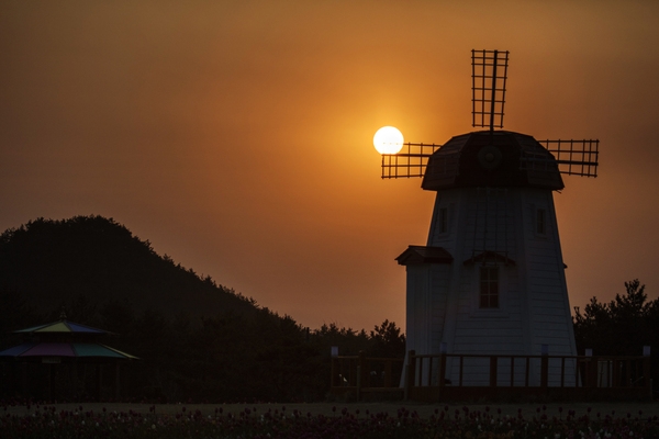 튤립공원일출 5