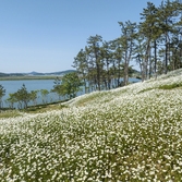 장산면 