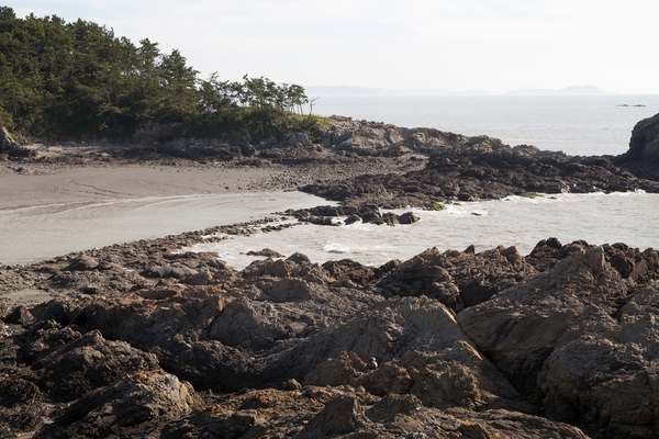 증도_독살체험장 2