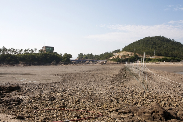 증도_독살체험장 4