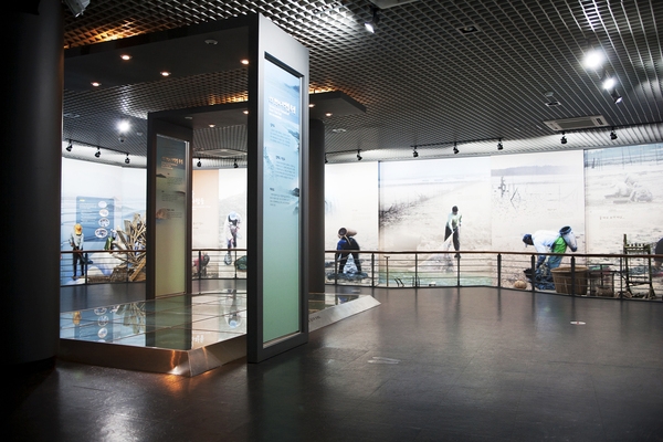 신안갯벌센터슬로시티 4