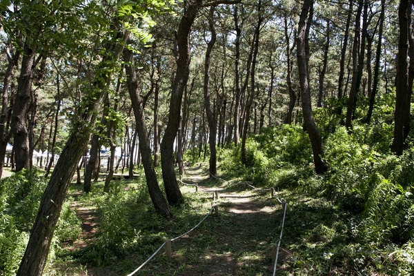 우전해변캠핑장침몽골텐트촌 3