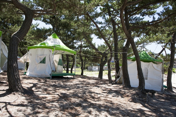 우전해변캠핑장침몽골텐트촌 4