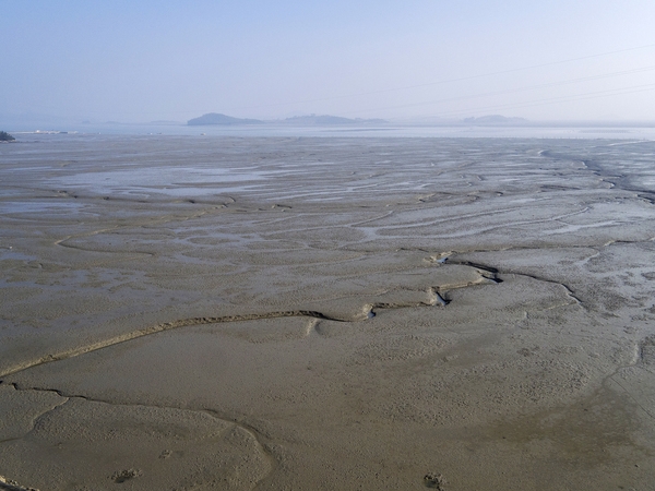 병풍도 대기점도 노두길 4
