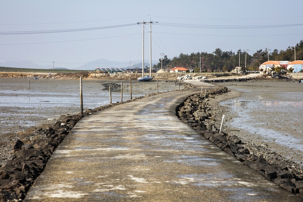 병풍도 신추도 노두길 3