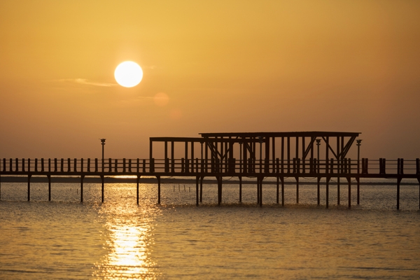 증도 짱뚱어다리일몰 001 2