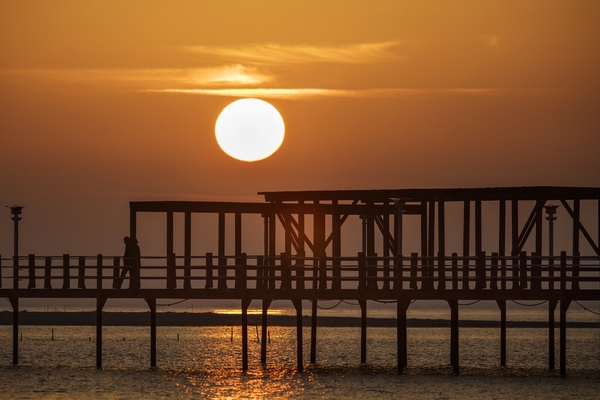 증도 짱뚱어다리일몰 001 4