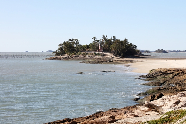 증도면 가고싶은 섬 기점소악도 12사도 작은 예배당 6