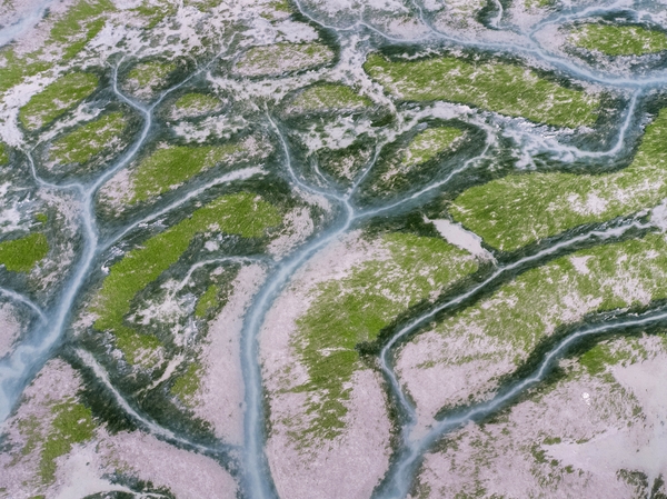 증도면 병풍도갯벌 4