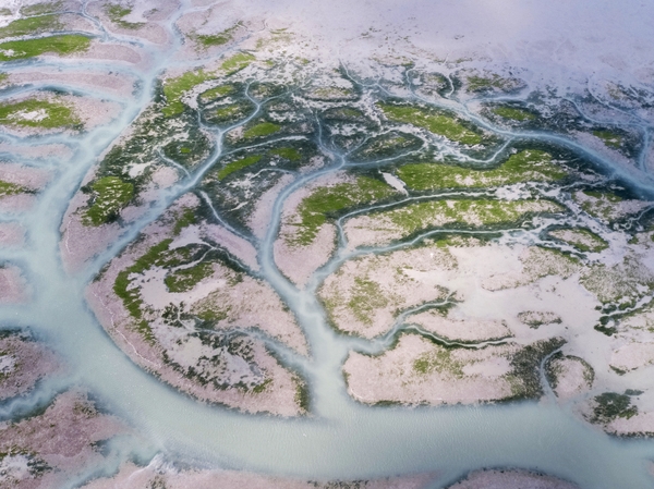 증도면 병풍도갯벌 1