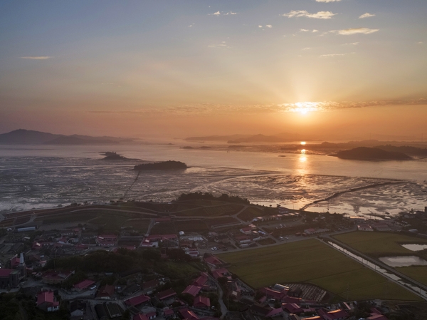 증도면 병풍도 맨드라미 002 2