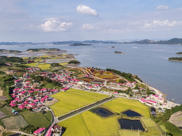 증도면 병풍도 맨드라미 003 5