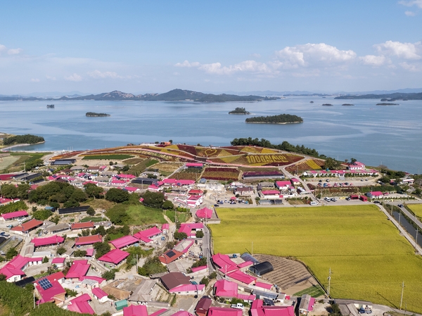 증도면 병풍도 맨드라미 003 1