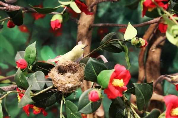 흑산도 새조각공원 2