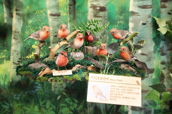 흑산도 새조각공원 3