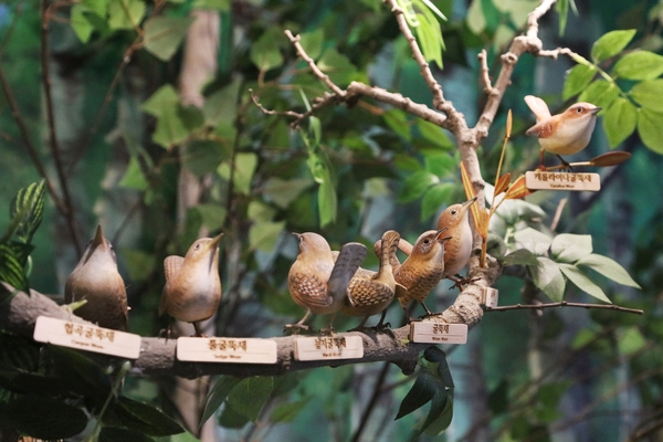 흑산도 새조각공원 4