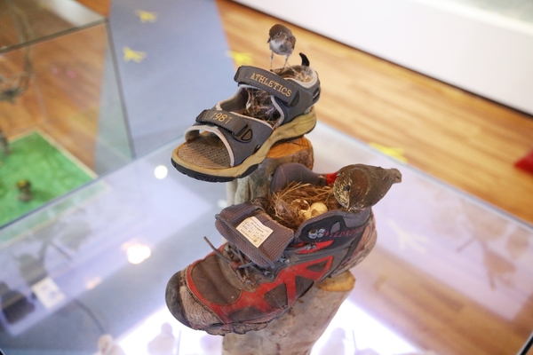 흑산도 신안철새박물관 2