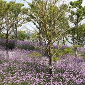 지도읍 