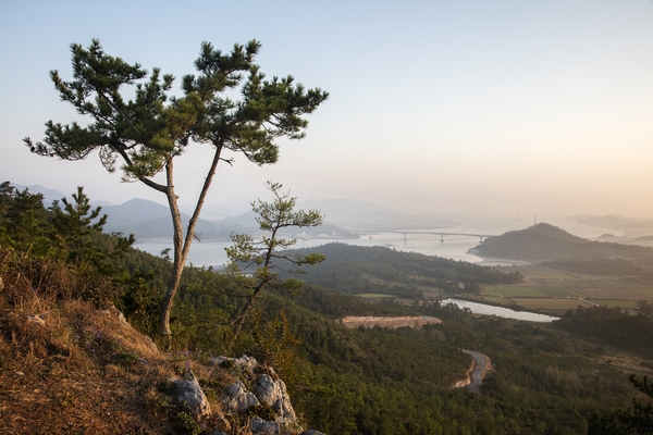 채일봉 1