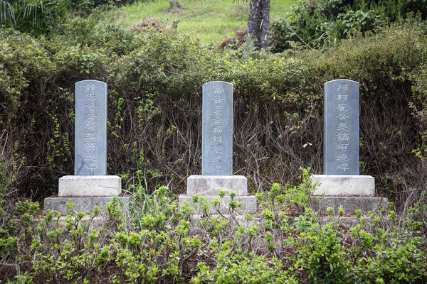 팔금도001 4