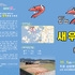 올 김장 신안 새우젓, 느낌 아니까! 2