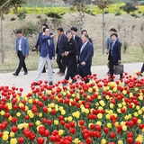 2019.04.21 임자튤립축제폐막식