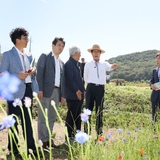 2019.05.20 하동군 꽃양귀비축제 및 화개장터 현장방문