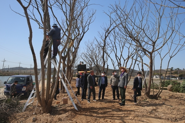 2020.03.20 도초면 현장방문 2