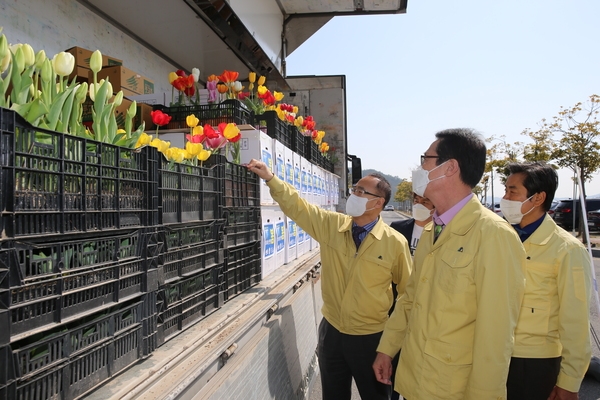 2020.03.31 대구 경산 희망 튤립 보내기 행사 2