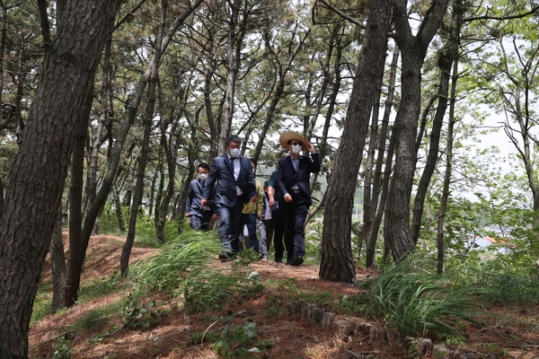 2020.05.12 증도면 돈나무식재 현장방문 4