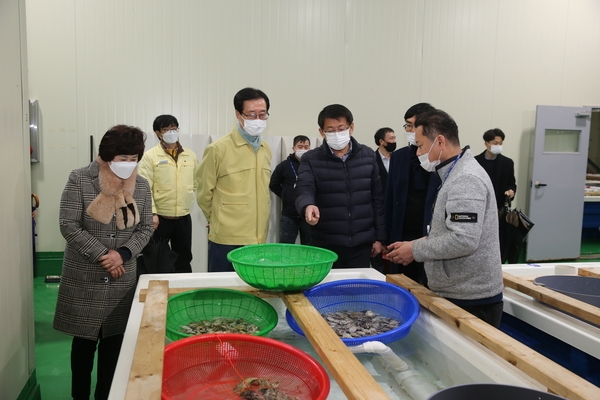 2021.01.23 신안형 개체굴 양식 산업화 보고회(신안수산연구소) 4