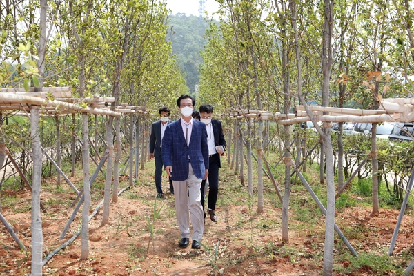 2021.04.29 구항방조제 산책길 현장점검 2