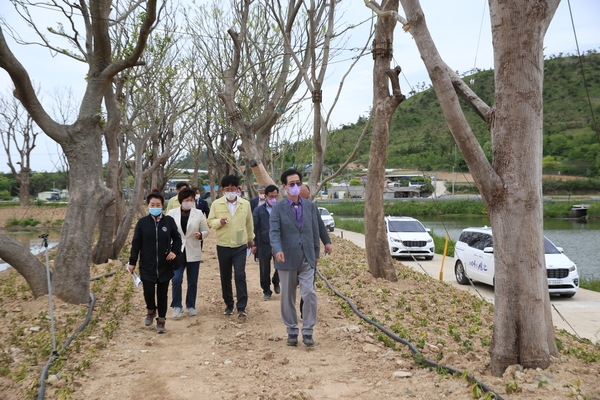 2021.05.11 도초면 팽나무 숲 및 수국공원 방문 1