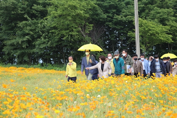 2021.05.27 선도 가고싶은섬 조성 현장방문(금영화) 3