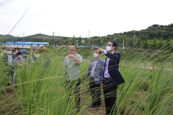 2021.08.31 도초면 수국공원 현장방문 3