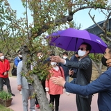 2022.04.29 임자면 대광 매화식재현장방문