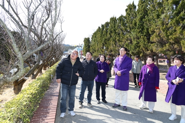 2025.02.21_ 임자면 홍매화축제 준비 현장점검 1