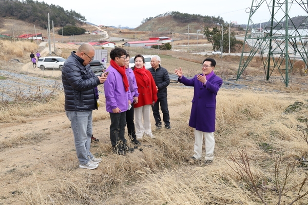 2025.02.25_ 임자면 홍매화 식재 현장점검 1
