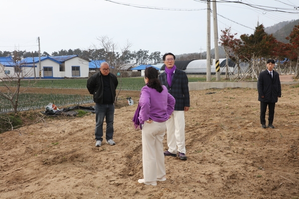 2025.03.15._ 자은면 둔장마을 현장점검 2