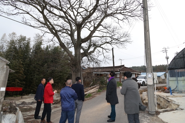 2025.03.18_ 압해읍 복룡마을 방문 2
