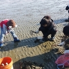 신안군, 농·어촌 체험 즐길 수 있는 농촌교육농장 육성..'압해읍·자은면 2개소,...