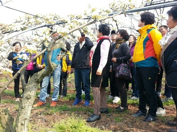 신안군, 농촌체험학습지도사 양성 교육 추진..