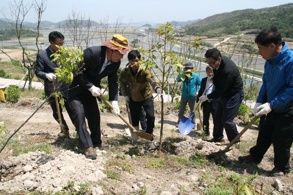 신안,「숲속의 전남」섬지역 나무심기 행사 열려1