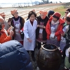 신안군, 잊혀져가는 옛 전통 장맛 살린다..'장류 제조 비법전수로 지역 특산물 접...