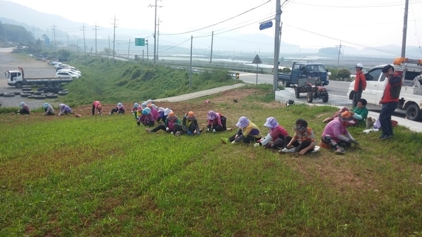 노인일자리사업 쾌적한 환경조성에 앞장..'쓰레기 무단 투기지역을 활짝 핀 해바라기 공원으로'1