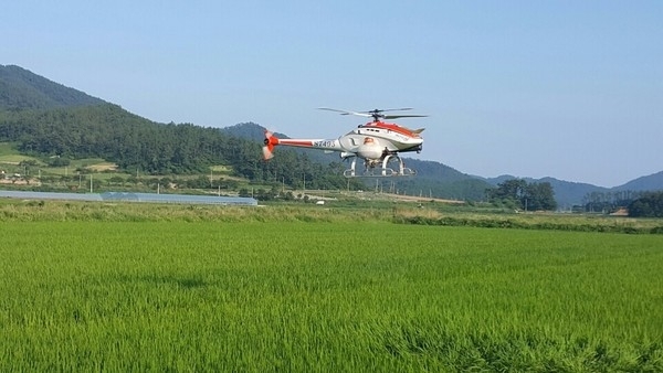 신안군! 병해충 동시방제로 벼 안전생산 기술지원1