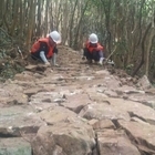 섬마을 ‘숲속의 힐링’ 산책로 개설