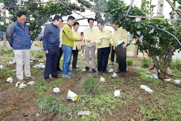 신안군, 태풍「링링」피해 신속 조사 및 복구총력 1