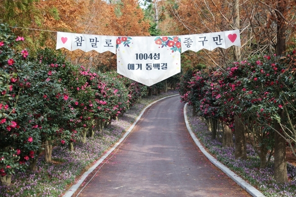 1004섬 신안『섬 겨울꽃 랜선 축제』개막..'2004만송이 애기동백꽃 향연 속, 랜선 여행'1