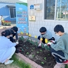 신안군 “채소 쑥쑥 키도 쑥쑥 어린이 농부체험” 특화사업 실시